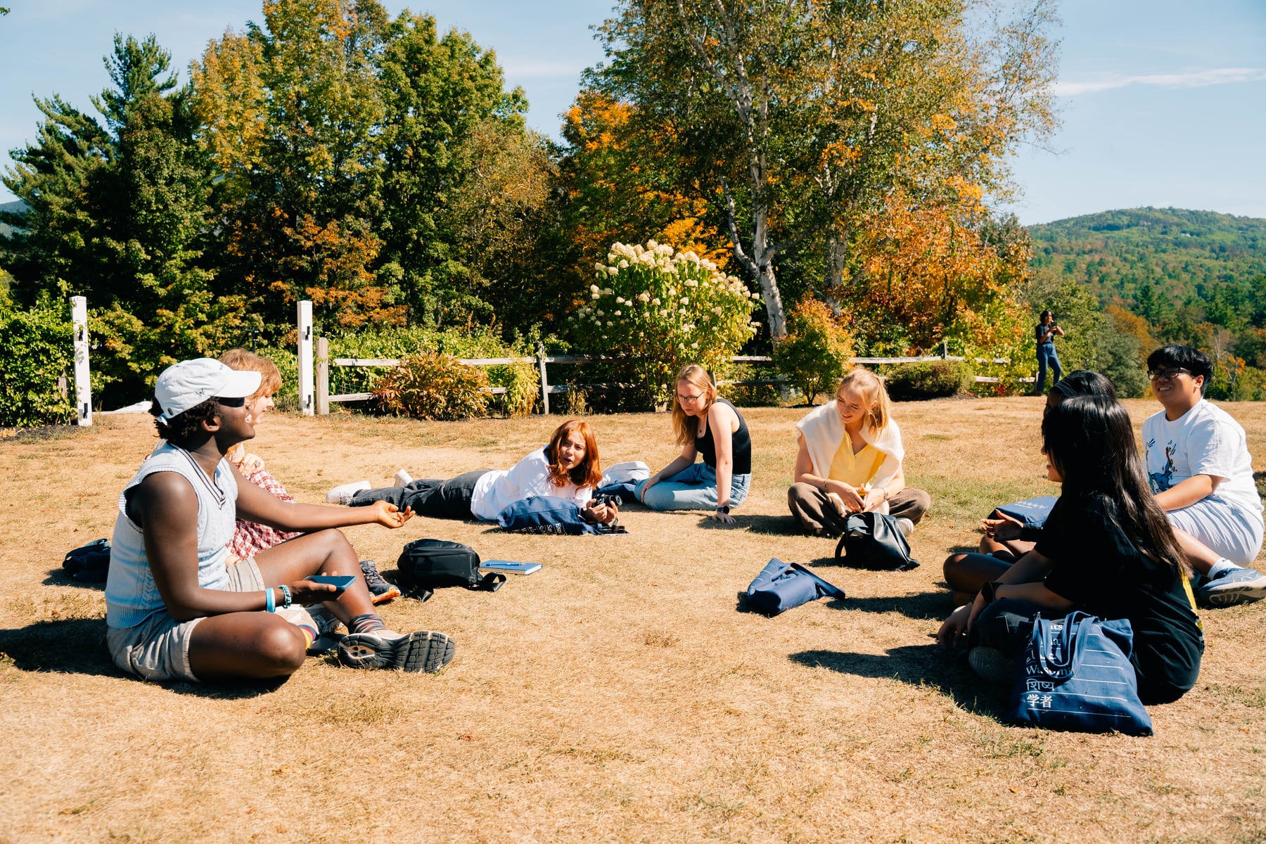 Tende and friends gathering in a park